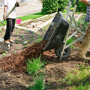 Landscape Design in Indianola WA